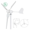 Generatori a turbina eolica 12V 24V 600W 3 dimensioni personalizzate